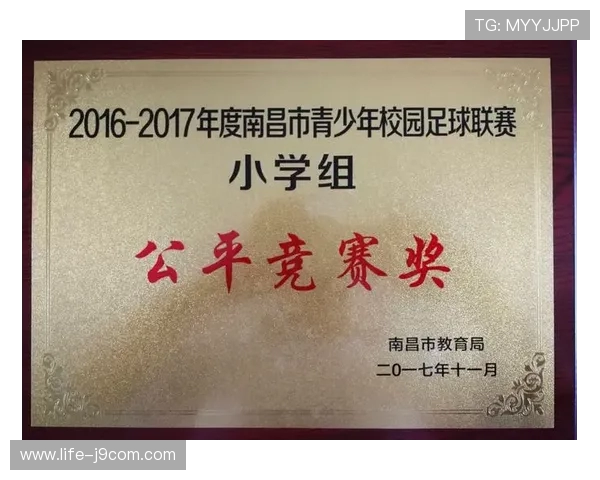 小学足球校队科学分队与公平竞赛管理实施细则全面探索策略研究指引